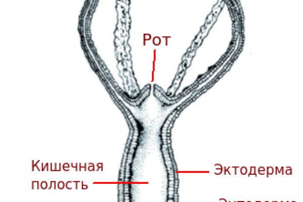 Где взять ссылку кракена