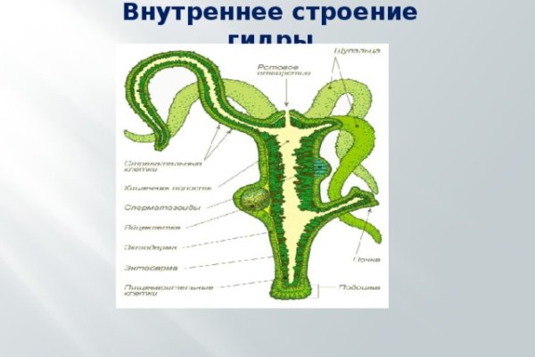 Кракен браузер ссылка