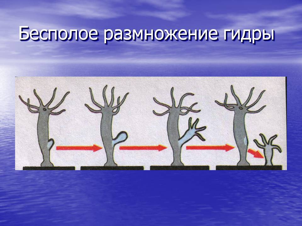Кракен маркетплейс что